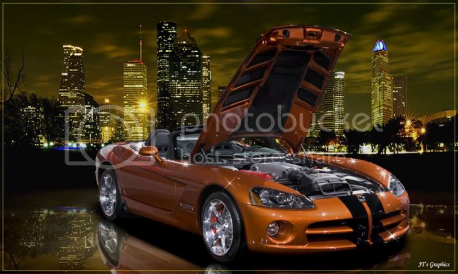 Org-Viper-22.jpg