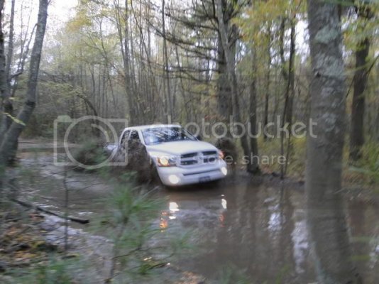 trailing9.jpg