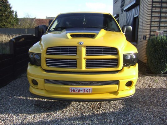 bee52.jpg bee52.jpg