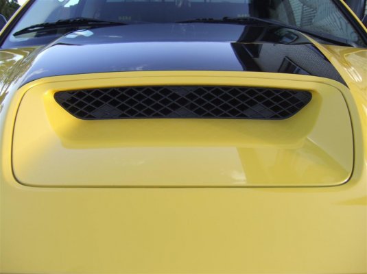 bee54.jpg bee54.jpg