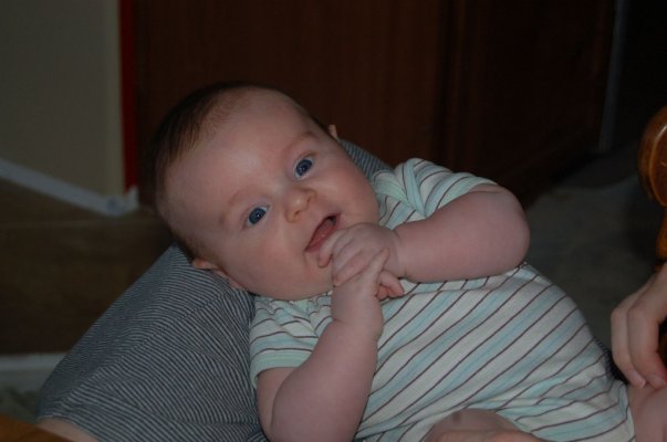 DSC_0042.jpg DSC_0042.jpg