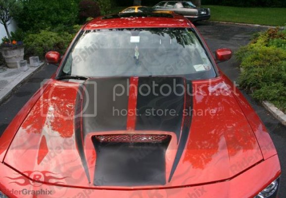 possiblehoodpaintscheme.jpg possiblehoodpaintscheme.jpg