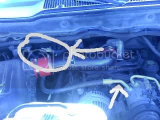 0329121708-1.jpg