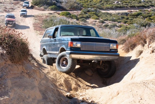 bronco%20cleghorn.jpg