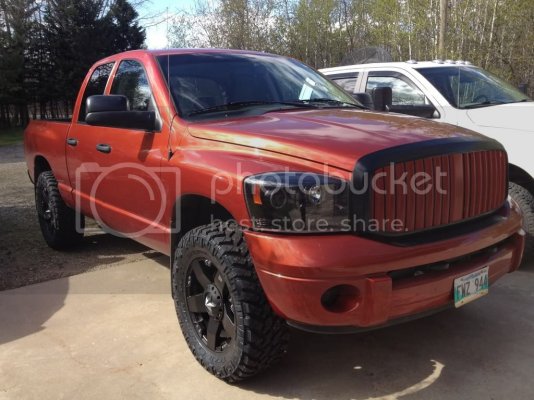 dodgegirl2_zps1f1256c4.jpg