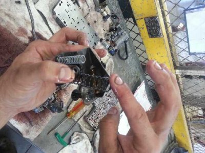 IMG_20140712_121637[1].jpg