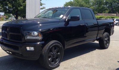 Black Beast 1.jpg