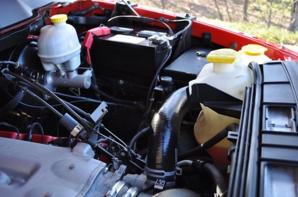 DSC_0338.jpg DSC_0338.jpg