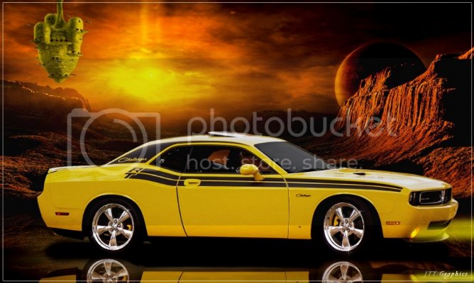 Chally-Bee-1-1_zpsce045112.jpg