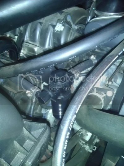 IMAG0323.jpg