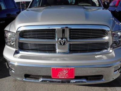grille inserts.jpg