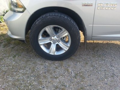 2014sport3.jpg