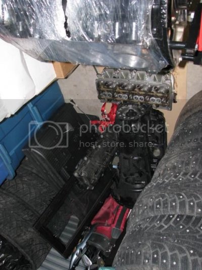 IMG_3866_zps64f8f517.jpg