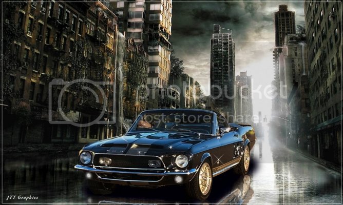 OldSchlStang-1-2_zps47ad3037.jpg OldSchlStang-1-2_zps47ad3037.jpg
