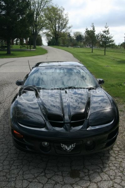 firebirdwithbigguns_28_zps94d1687c.jpg firebirdwithbigguns_28_zps94d1687c.jpg