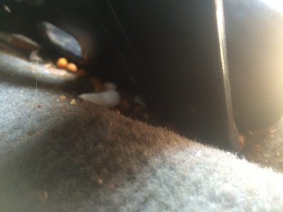 ImageUploadedByTapatalk1408903695.348902.jpg ImageUploadedByTapatalk1408903695.348902.jpg