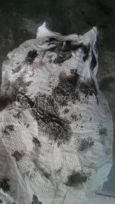 IMAG0616_zpsj8ihrg6q.jpg