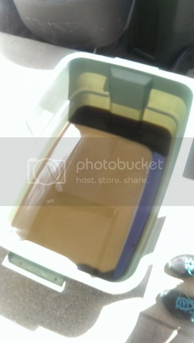 IMAG0614_zps44fnaqgn.jpg