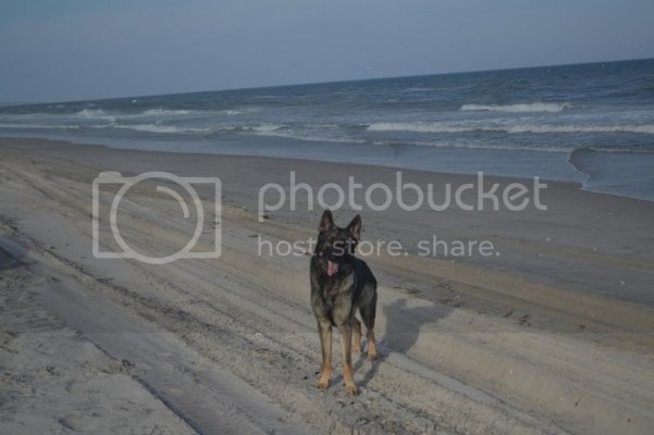 DSC_0038_zpsc7d1e867.jpg