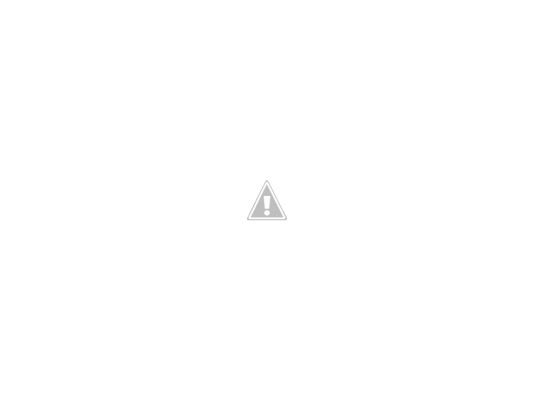 IMG_3031.png IMG_3031.png