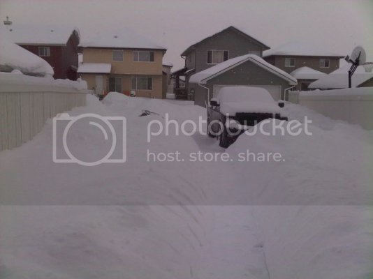 Snow014.jpg