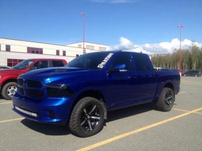 IMG_0737[1].jpg