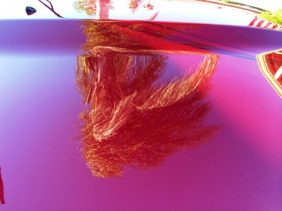 photo 1.jpg