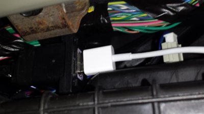 ramusb.jpg