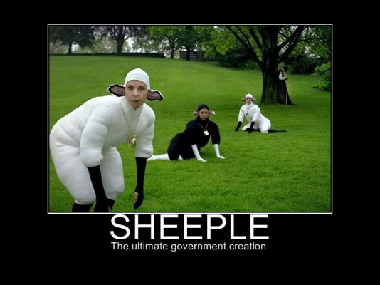 sheeple-1b.jpg sheeple-1b.jpg