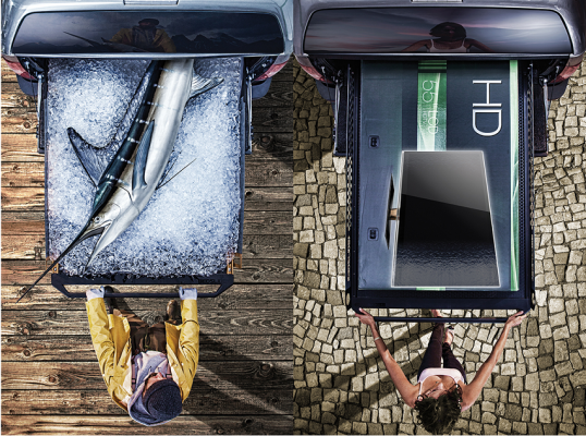bed-slides-combined-fish-tv.png bed-slides-combined-fish-tv.png