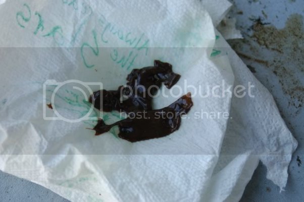snot1.jpg snot1.jpg