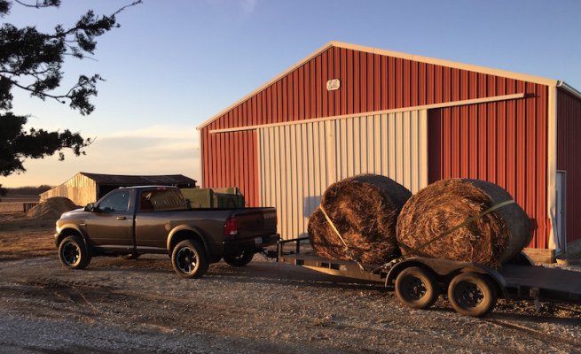 2016_ram_roundbales.jpg 2016_ram_roundbales.jpg