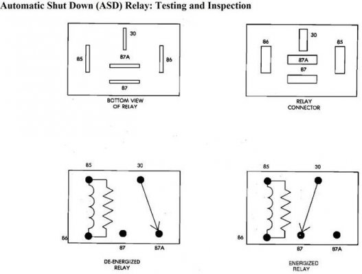 asd%2Btesting.jpg