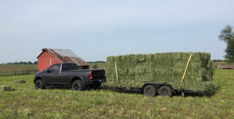 2016_ram-hay.jpg 2016_ram-hay.jpg