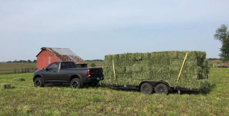 2016_ram-hay.jpg