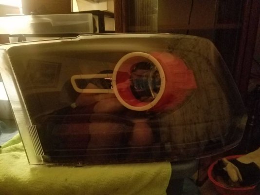 20180bc9c700590be6707b9b0de1cab7.jpg 20180bc9c700590be6707b9b0de1cab7.jpg
