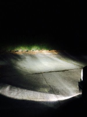 ImageUploadedByTapatalk1421291938.338283.jpg