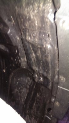 07 Fender.jpg