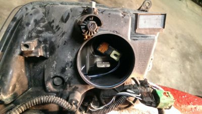 12 New Bulb.jpg