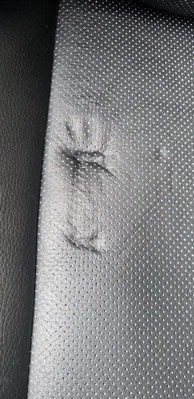 20180825_104624.jpg