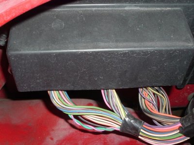 DSCF2880.jpg