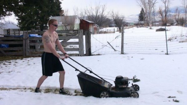 just-mowing-the-lawn.jpg