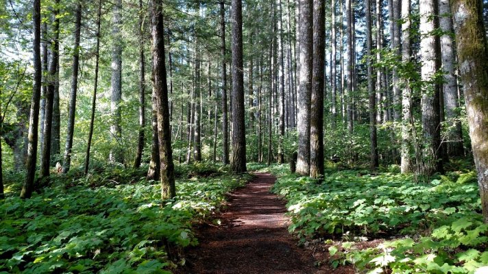 Beaver%20Bay%20Trail%2002_zpsvul3jhsf.jpg