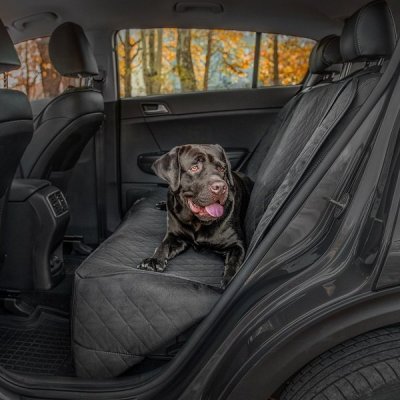 pixxu-pet-seats-3.jpg pixxu-pet-seats-3.jpg