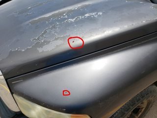 Clearcoat peeling, anything i can do to keep it from getting worse?