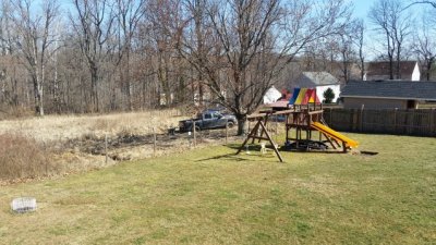 Stuck in Backyard.jpg