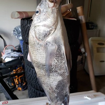 30b26150c8e821d3d9c29173fd9eb5d9.jpg 30b26150c8e821d3d9c29173fd9eb5d9.jpg
