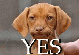 138f57b5bfe1c04738dad9009987997851267e18&rid=giphy.gif