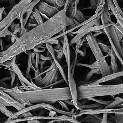 Filter_Cellulose_Media.jpg Filter_Cellulose_Media.jpg