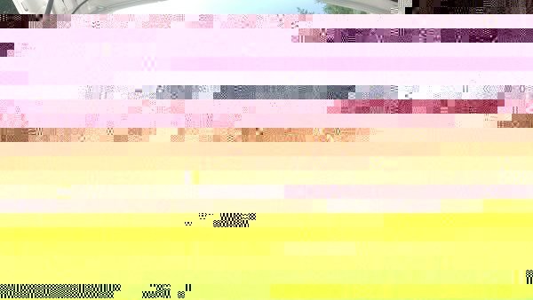 228b3d85f3d2ef692d4120ff7a5dcc4e.jpg 228b3d85f3d2ef692d4120ff7a5dcc4e.jpg